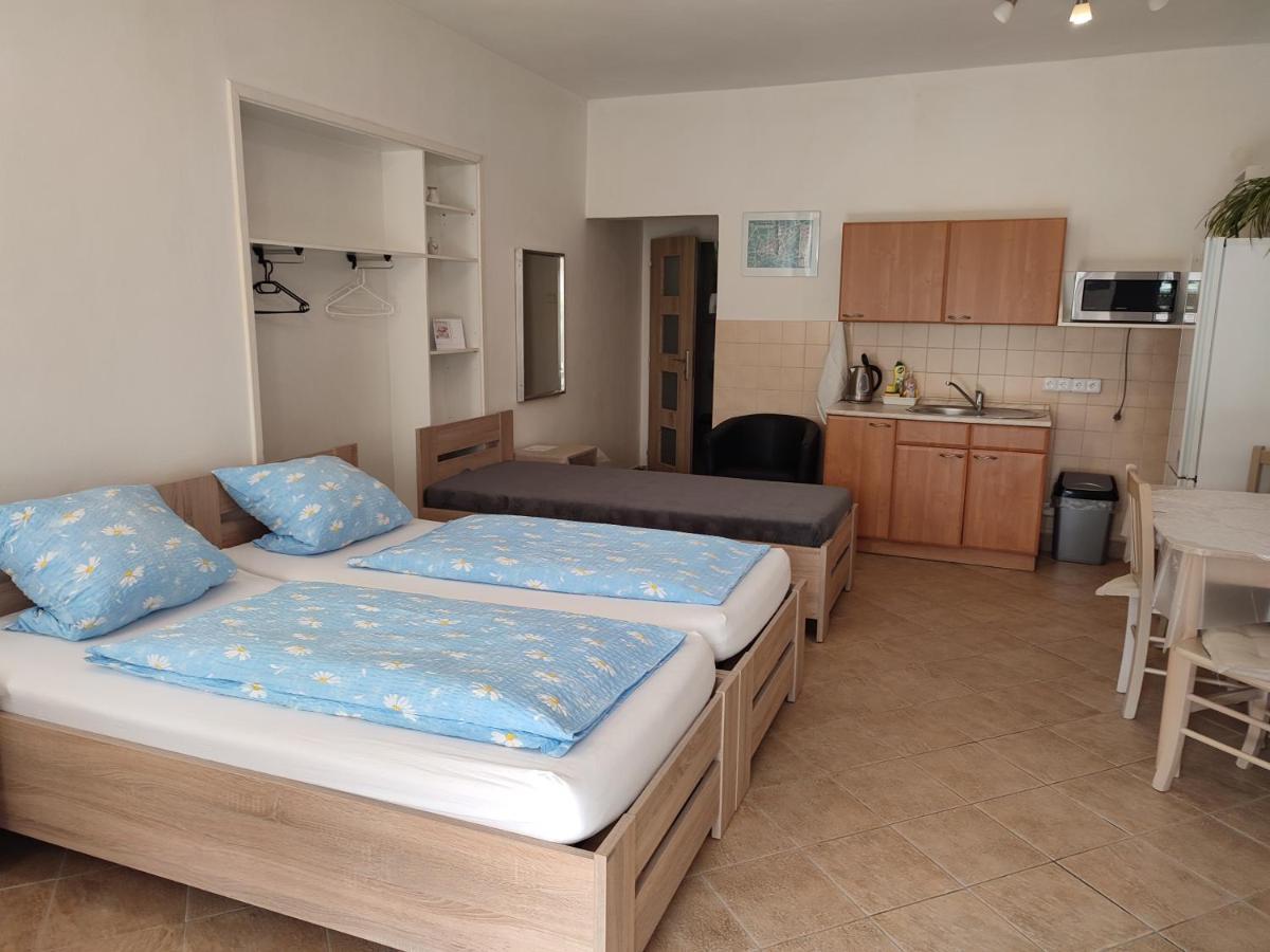 Pension Dana Karaskova Apartment Kutna Hora Ngoại thất bức ảnh