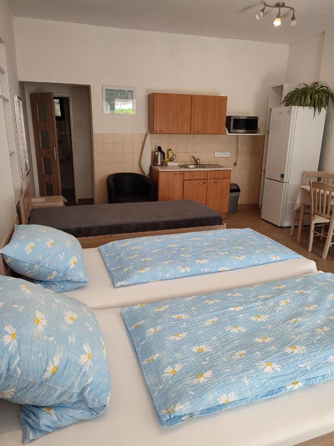 Pension Dana Karaskova Apartment Kutna Hora Ngoại thất bức ảnh
