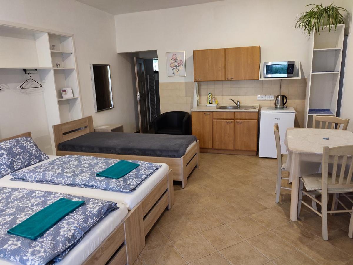 Pension Dana Karaskova Apartment Kutna Hora Ngoại thất bức ảnh