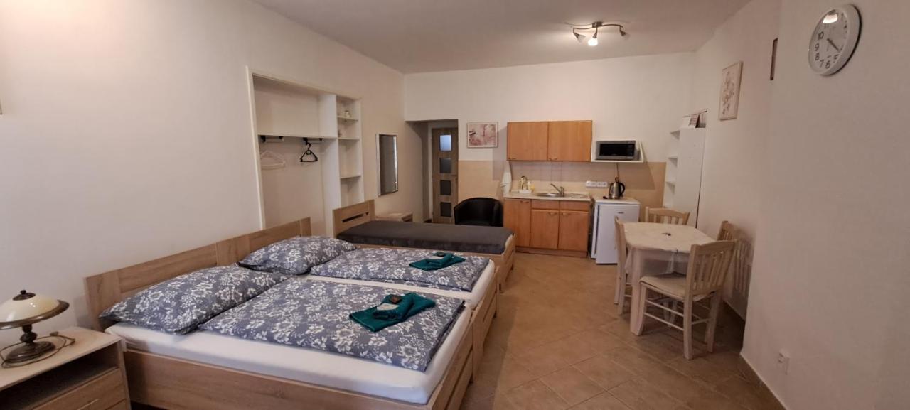 Pension Dana Karaskova Apartment Kutna Hora Ngoại thất bức ảnh