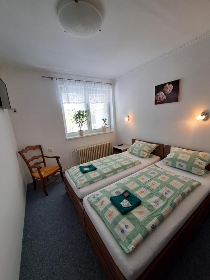 Pension Dana Karaskova Apartment Kutna Hora Ngoại thất bức ảnh